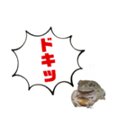 イエアメガエルのデカ文字スタンプ（個別スタンプ：21）