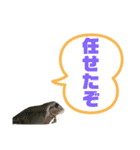 イエアメガエルのデカ文字スタンプ（個別スタンプ：22）