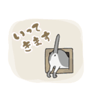 ゆる淡いねこスタンプ（個別スタンプ：18）