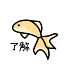 毎日使える金魚ちゃん（個別スタンプ：3）