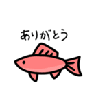 毎日使える金魚ちゃん（個別スタンプ：5）