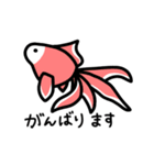 毎日使える金魚ちゃん（個別スタンプ：11）