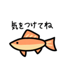 毎日使える金魚ちゃん（個別スタンプ：15）