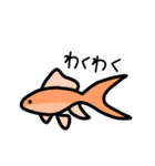 毎日使える金魚ちゃん（個別スタンプ：22）