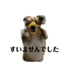 くーちゃん❤️丁寧編集ver.（個別スタンプ：4）