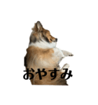 くーちゃん❤️丁寧編集ver.（個別スタンプ：11）