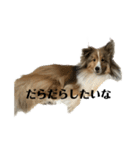 くーちゃん❤️丁寧編集ver.（個別スタンプ：15）