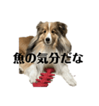くーちゃん❤️丁寧編集ver.（個別スタンプ：18）