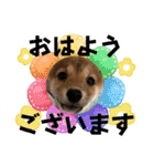 モコ家のスタンプの巻（個別スタンプ：2）