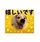 モコ家のスタンプの巻（個別スタンプ：18）