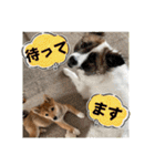 モコ家のスタンプの巻（個別スタンプ：21）