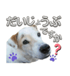 モコ家のスタンプの巻（個別スタンプ：22）