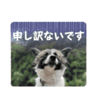 モコ家のスタンプの巻（個別スタンプ：28）