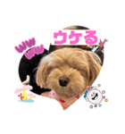 マルプーのぷーたん 第12弾（個別スタンプ：2）