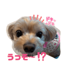 マルプーのぷーたん 第12弾（個別スタンプ：14）