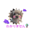 マルプーのぷーたん 第12弾（個別スタンプ：17）