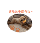 マルプーのぷーたん 第12弾（個別スタンプ：31）