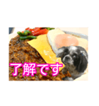 食べ物LOVEシーズー（個別スタンプ：10）