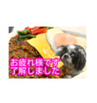 食べ物LOVEシーズー（個別スタンプ：11）