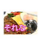 食べ物LOVEシーズー（個別スタンプ：18）