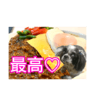 食べ物LOVEシーズー（個別スタンプ：27）