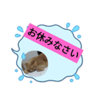 MAOチャン2（個別スタンプ：2）