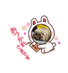 MAOチャン2（個別スタンプ：3）