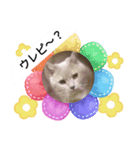 MAOチャン2（個別スタンプ：4）