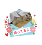 MAOチャン2（個別スタンプ：8）