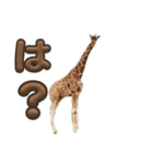 ︎︎動物スタンプ（個別スタンプ：8）