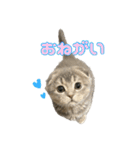 晴れ時々みぞれのちスタンプ（個別スタンプ：3）