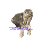 晴れ時々みぞれのちスタンプ（個別スタンプ：12）
