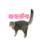 晴れ時々みぞれのちスタンプ（個別スタンプ：23）
