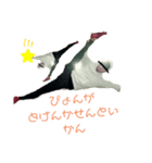 かわさんクソコラスタン部β（個別スタンプ：8）