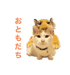 かわいいうちの猫のスタンプ（個別スタンプ：38）