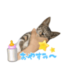 テト 2023年夏（個別スタンプ：5）