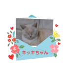 テト 2023年夏（個別スタンプ：28）