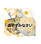 我が家のにゃんにゃん三重奏（個別スタンプ：22）