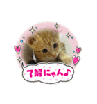 我が家のにゃんにゃん三重奏（個別スタンプ：29）
