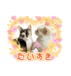 我が家のにゃんにゃん三重奏（個別スタンプ：33）