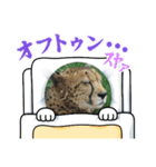 動物スタンプその3（個別スタンプ：1）