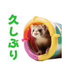 まるっとAI動物園(フェレットVer.)（個別スタンプ：33）