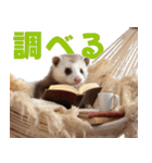 まるっとAI動物園(フェレットVer.)（個別スタンプ：40）