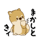 柴犬・茶色い犬のちゃちゃ丸『関西弁』（個別スタンプ：4）