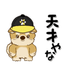柴犬・茶色い犬のちゃちゃ丸『関西弁』（個別スタンプ：5）