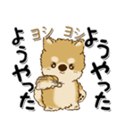 柴犬・茶色い犬のちゃちゃ丸『関西弁』（個別スタンプ：6）