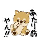 柴犬・茶色い犬のちゃちゃ丸『関西弁』（個別スタンプ：11）