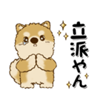 柴犬・茶色い犬のちゃちゃ丸『関西弁』（個別スタンプ：14）