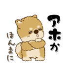 柴犬・茶色い犬のちゃちゃ丸『関西弁』（個別スタンプ：23）