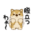 柴犬・茶色い犬のちゃちゃ丸『関西弁』（個別スタンプ：27）